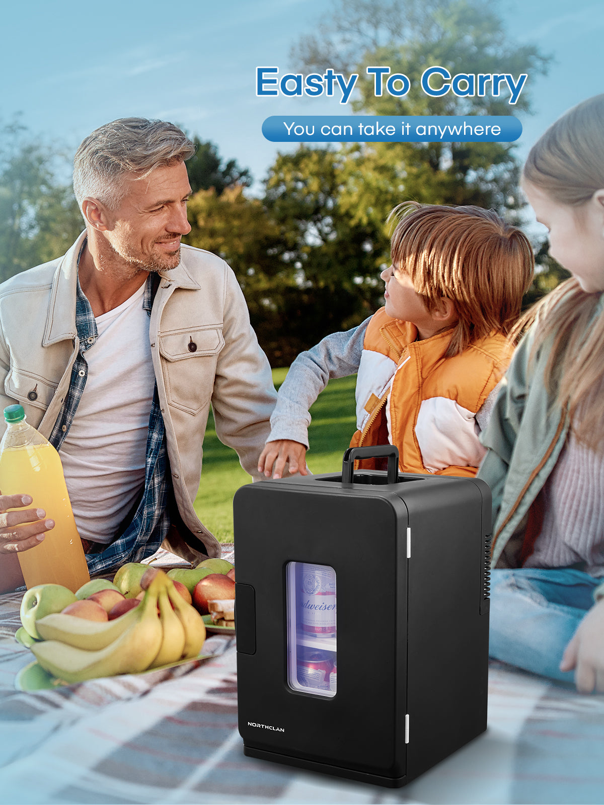 15L Mini Fridge, 21 Can Bedroom Refrigerator, Portable Cooler &Warmer, Beverage & Skincare, 110V/12V, Black