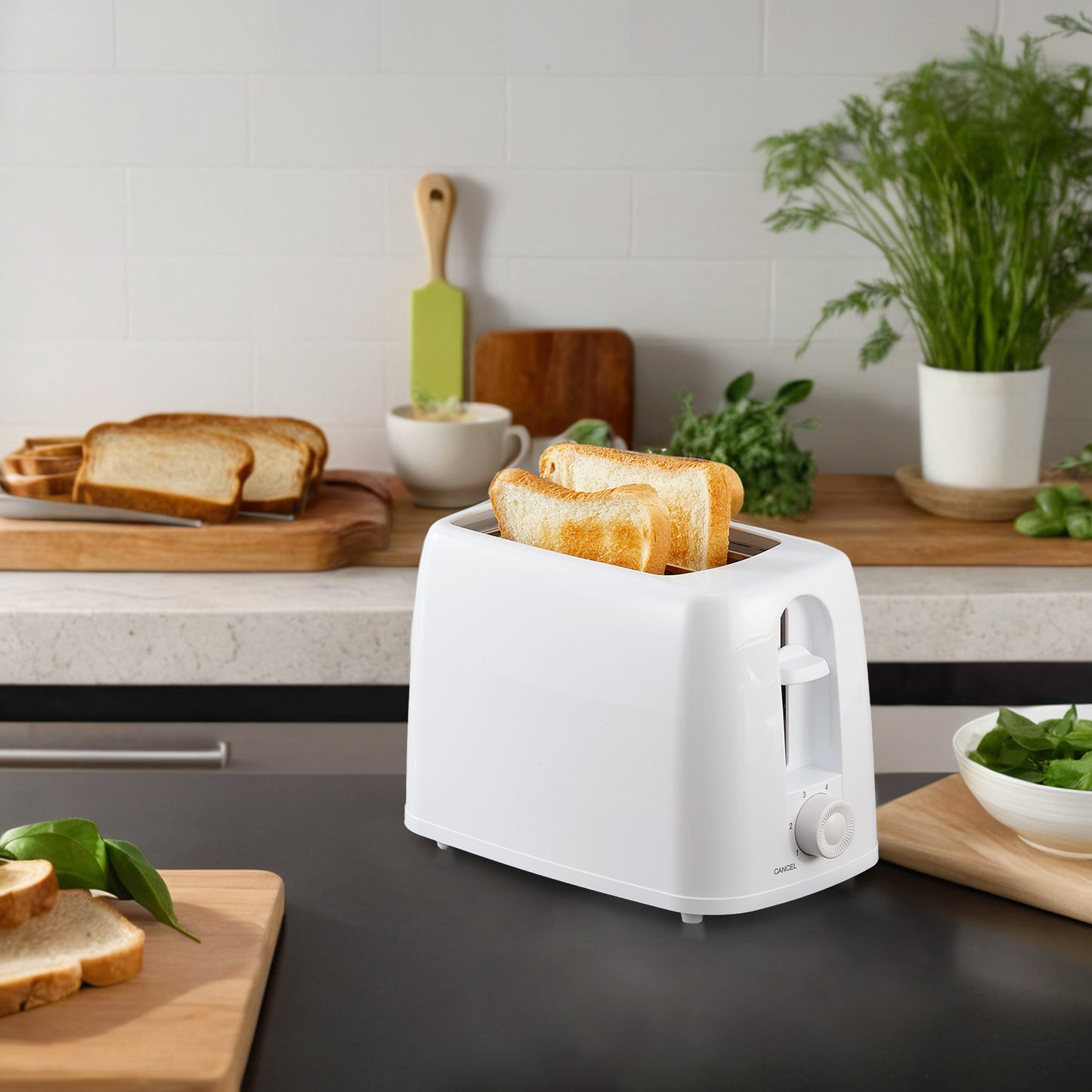 Toaster 2 Slice Extra Wide Slot, 6 Settings Compact Toaster with Removable Crumb Tray, Bagels, Waffles, Specialty Breads, White